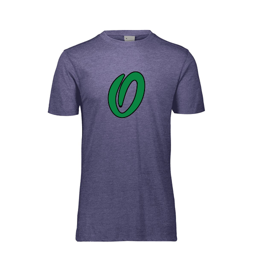 [FTSCUBRY-AS-LOGO1] Decker Men's Tri-Blend T-Shirt - Short Sleeve (Adult S, Royal, Logo 1)